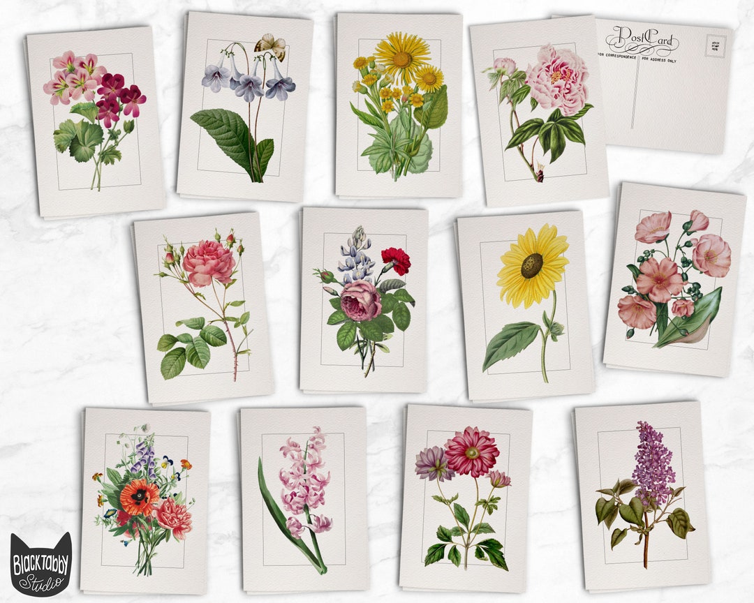 Vintage Style Floral Postcards - 24 Retro Style Botanical Postcards - Etsy