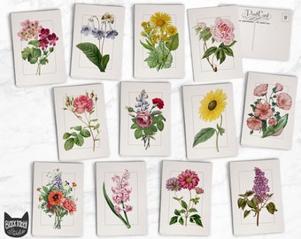 Vintage Style Floral Postcards - 24 Retro Style Botanical Postcards