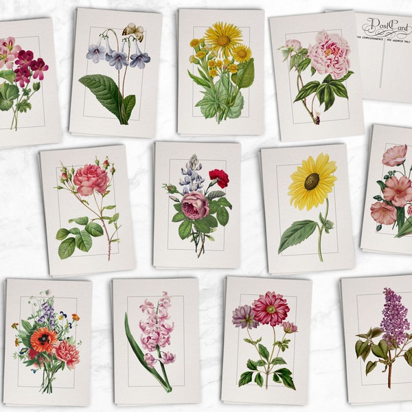 Vintage Style Floral Postcards - 24 Retro Style Botanical Postcards