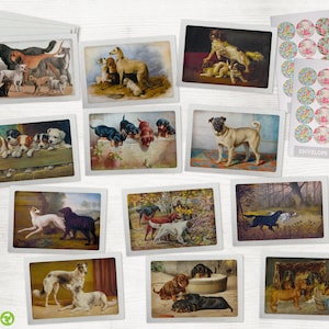 Vintage Dog Greeting Cards Collection - 24 Puppy Note Cards & Envelopes with Seal Stickers - Classic Designs Reprinted as Note Cards