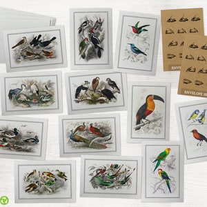 Vintage Bird Greeting Cards Collection 24 Bird Note Cards & Envelopes with Seal Stickers Classic Designs Reprinted as Note Cards image 1