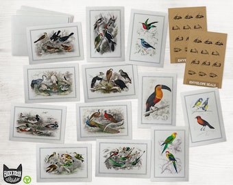 Vintage Bird Greeting Cards Collection - 24 Bird Note Cards & Envelopes with Seal Stickers - Classic Designs Reprinted as Note Cards