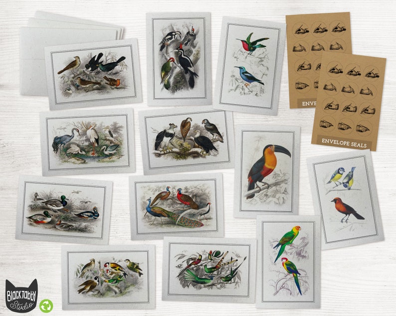 Vintage Bird Greeting Cards Collection 24 Bird Note Cards & Envelopes with Seal Stickers Classic Designs Reprinted as Note Cards image 1