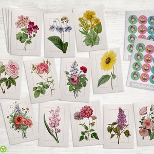 Vintage Floral Greeting Cards Collection - 24 Flower Note Cards & Envelopes with Seal Stickers - Classic Designs Reprinted as Note Cards