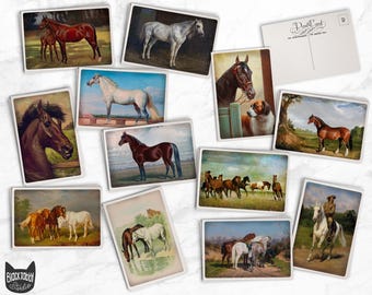 May include: A collection of vintage postcards featuring various images of horses. The postcards are in different colors and styles, and some feature a horse in a stable, a horse in a field, and a horse being ridden by a person.