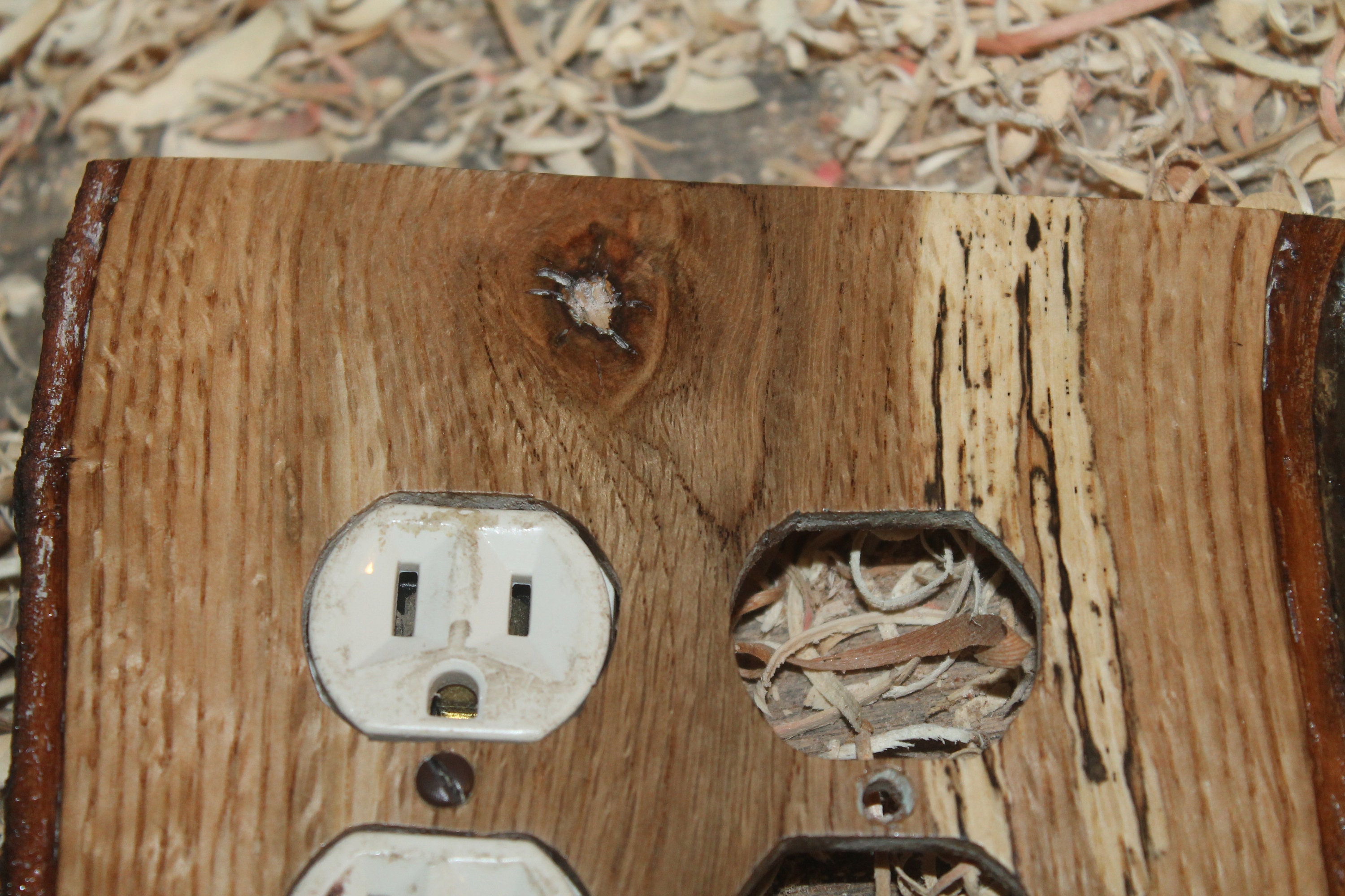 Red oak double outlet cover/w satin finish Etsy