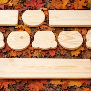 May include: A collection of unfinished wooden signs in various shapes, including rectangles, circles, and scalloped designs. The signs are displayed on a bed of colorful autumn leaves, showcasing natural wood grain.