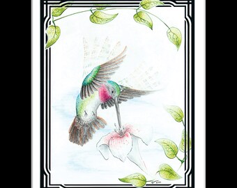 Hummingbird Art Print: Ruby-Throated Bird & Honeysuckle Flower