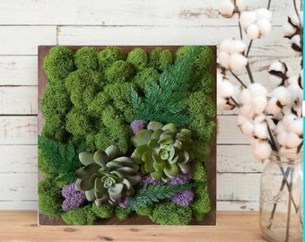 Succulent Wall Art Etsy