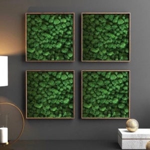 Moss Wall Art Home decor with 12x12 real wood frame. Preserved reindeer moss.