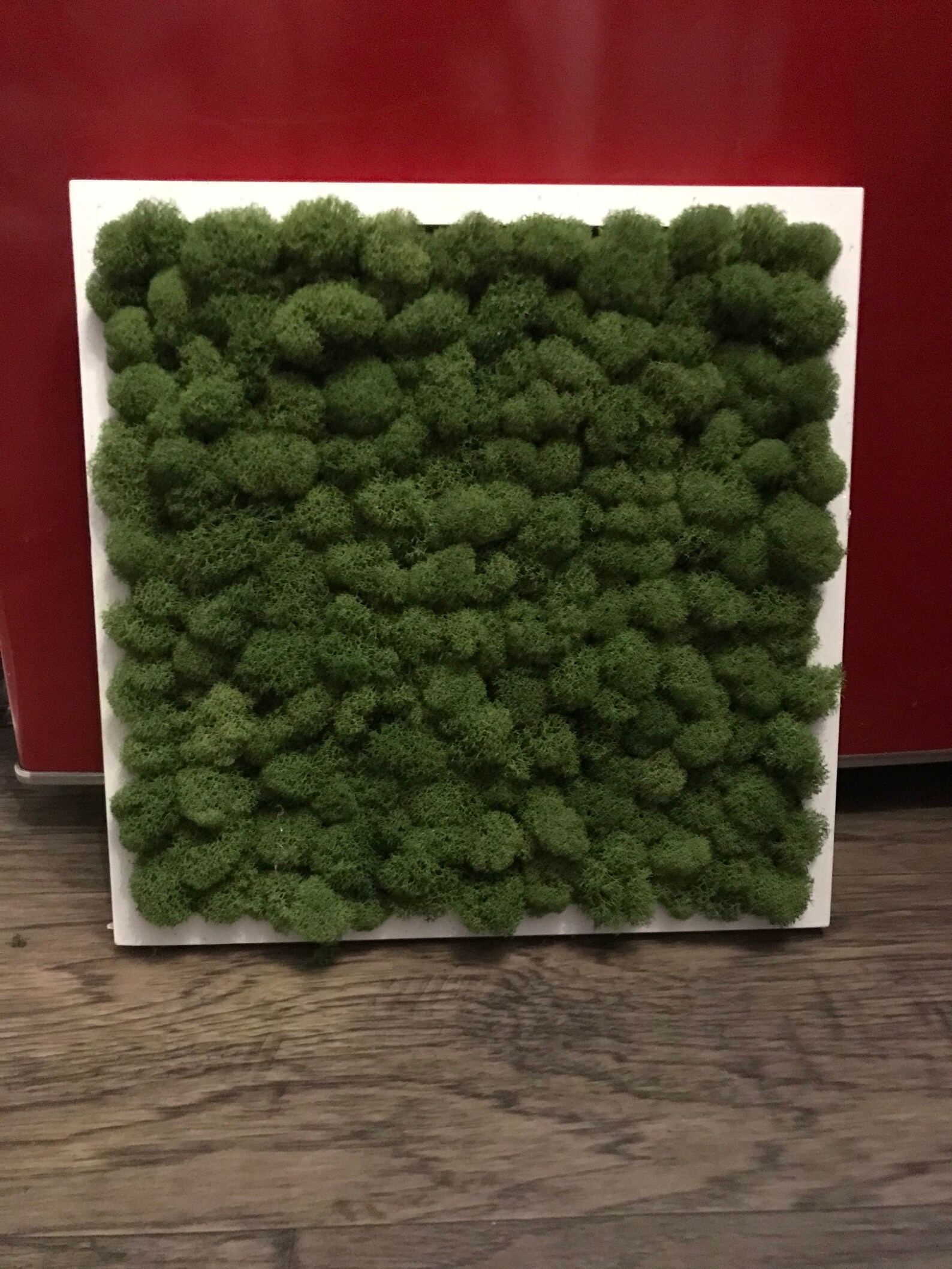 Moss Wall Art Wall Decor Moss Wall Art Framed Wall Art Etsy
