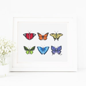 Regenbogen Schmetterling Art Print 8X10, Schmetterling Kunst, Regenbogen Kunstdruck, Schmetterlinge, Naturforscher, Wissenschaftskunst, Insekten