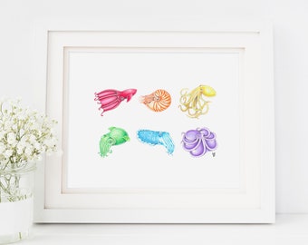 cephalopod rainbow, rainbow cephalopods, science art, octopus art print, cuttlefish art, squid art, nautilus print, 8"X10" print