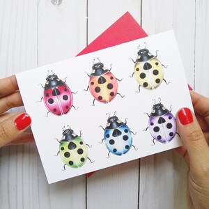 Carte de vœux coccinelle arc-en-ciel, carte de vœux coccinelle, carte coccinelle, produit en papier, carte de vœux, carte joyeuse, art coccinelle