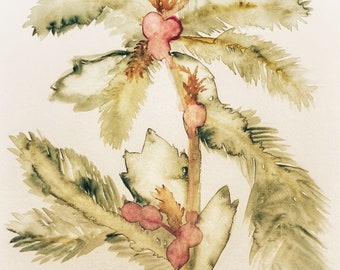 Mistletoe