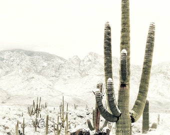 Winter Saguaro