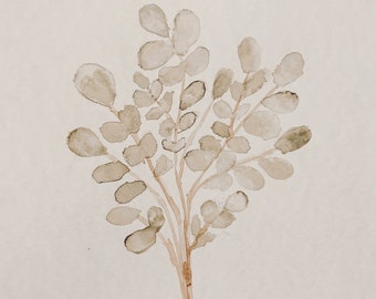 Eucalyptus