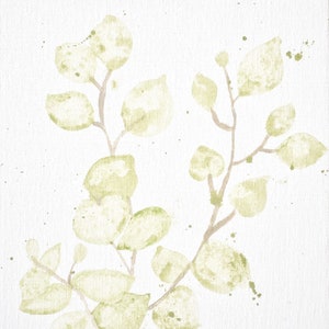 Eucalyptus Watercolor
