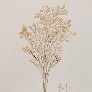 Baby&#39;s Breath