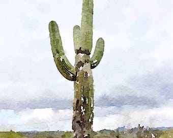 Saguaro
