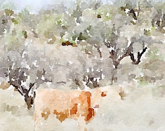 Cow Watercolor Print