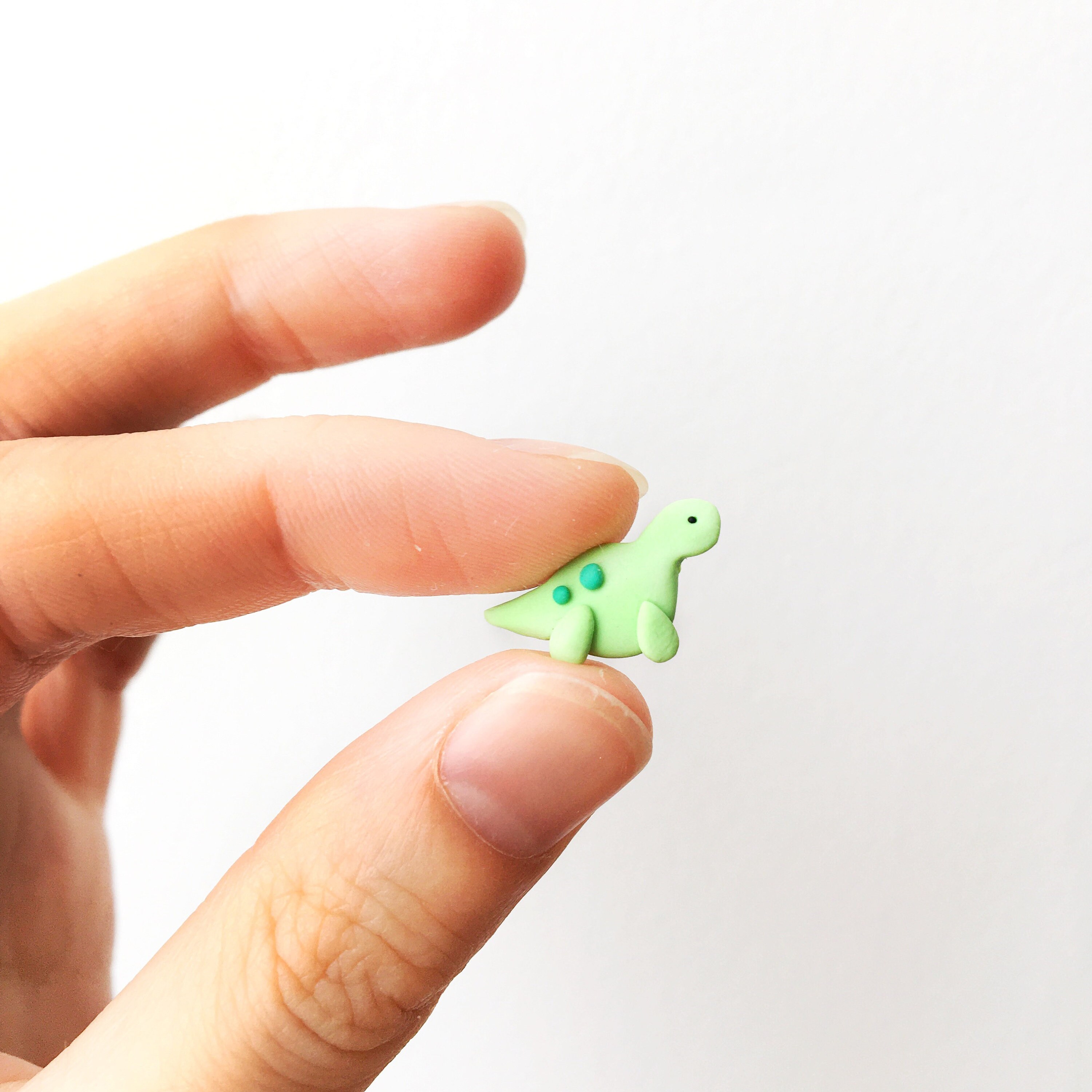 Dinosaurs earrings polymer clay Studs cute with hypoallergenic Etsy
