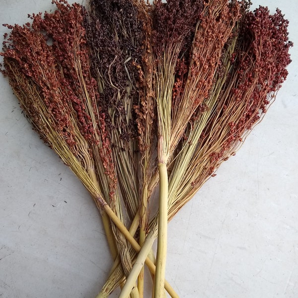 Broom Corn:  Dark Purple, Burgundy, Maroon, Gold, Dark Brown, and Light Red  10, 20 and 30 count with varying lengths , FREE SHIPPING!