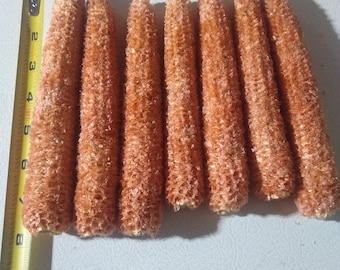 Large Red Corn Cobs 10, 20, 30, 40, 50 or 60 count