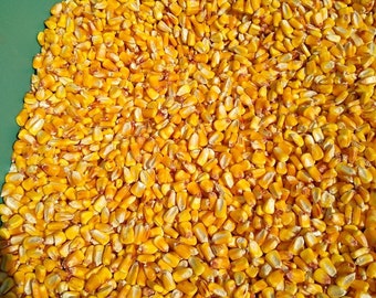 Shelled Corn, 9 pounds or 18 pounds, FREE SHIPPING