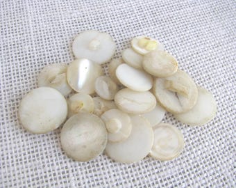 21 Vintage Natural Shell Buttons with Shanks, Assorted Styles Colors Sizes, Crafting Jewelry Sewing, NotOnlyButtons