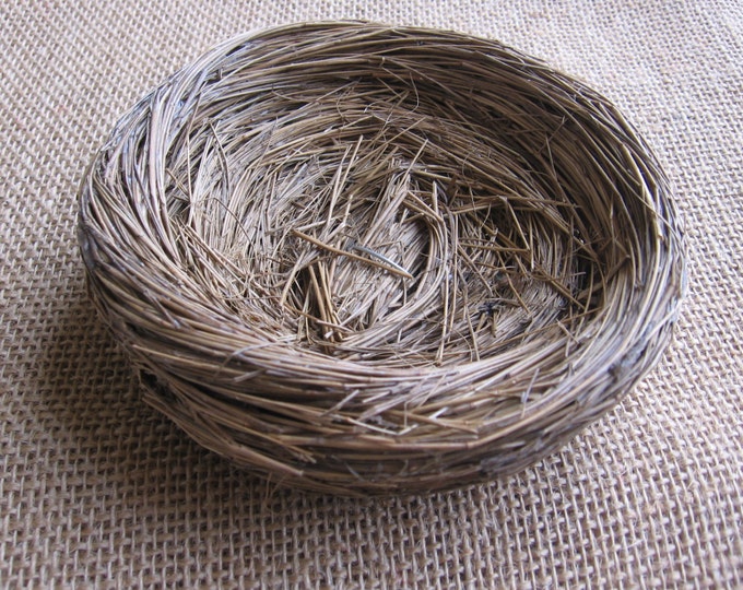Large Pine Needle Bird Nest Crafting Bird Nest Natural Craft Etsy