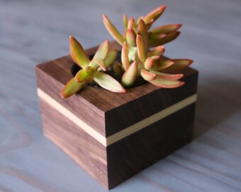 Succulent Holder - Wood Planter