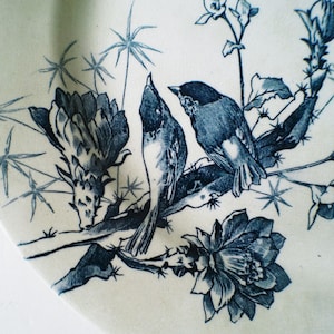 Puede incluir: Un plato de cerámica blanco con un diseño floral y de aves azul. Dos pájaros se posan en una rama con flores y hojas espinosas. El borde del plato es visible, mostrando la detallada ilustración.