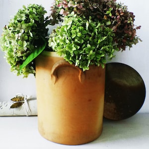 以下が含まれることがあります： 緑とバーガンディのアジサイが活けられた、2つの取っ手が付いた素朴なタン色のセラミック花瓶。お揃いの蓋が花瓶の横に置かれています。装飾的な葉が付いた丸められた紙が背景にあります。