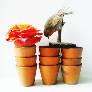Lot of 10 Tiny Seed Pots Terracotta Flower Pots Handmade Vintage Garden Table Decor