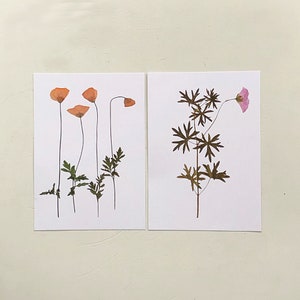 Choisissez 1 carte ou un ensemble de deux cartes avec des images de fleurs de mon herbier