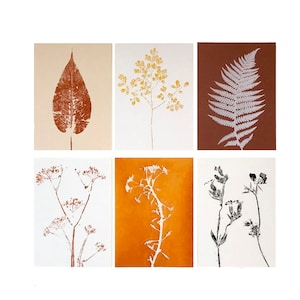 Cartes postales, choisissez-en une ou plusieurs ! Réalisées à partir de monotypes numérisés.