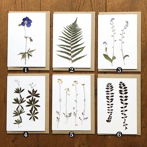 NOUVEAU * Carte pliée avec enveloppe. RÉIMPRESSION 05-2021, sur beau papier épais. Avec des images de mon herbier. Choisissez-en 1 ou plusieurs.