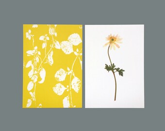 SET * 2 POSTCARDS * A6, with an image of a spring anemone and a monoprint yellow