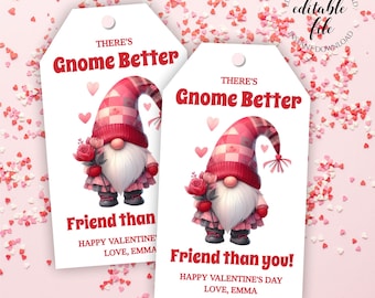 Valentijnsdag Gnome Gift Tag Template, Bewerkbare Gnome Better Friend Tag voor vrienden, buren, leraren, Mason Jar Geschenken, Download