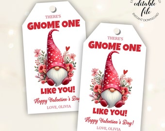 Valentine's Day Gnome Gift Tag Template, Editable Gnome One Like You Tag for Friends, Neighbors, Teachers, Mason Jar Gifts, Download