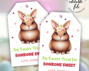 Easter Gift Tag Template, Editable Easter Treat for Someone Sweet Tag, Cute Bunny, Basket Tag for Friend, Teacher, Neighbor, Printable