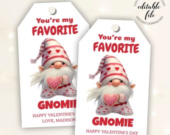 Cute Valentine's Day Gnome Gift Tag Template, Editable Gnomie Tag for Friends, Neighbors, Teachers, Treats, Mason Jar Gifts, Download