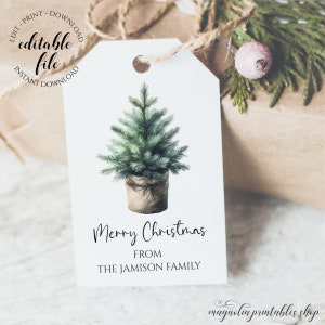 May include: A printable Christmas gift tag featuring a watercolor illustration of a potted evergreen tree. The tag says "Merry Christmas" and "From The Jamison Family".