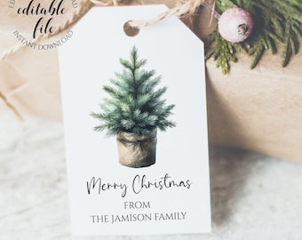 Editable Merry Christmas Gift Tag, Rustic Tree With Burlap Pot, Holiday Present Favor Tag Template, Instant Digital Download