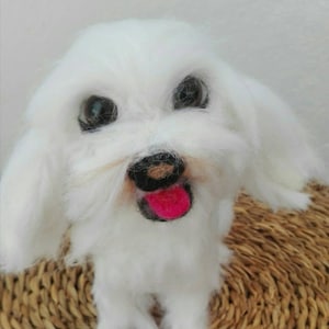 Needlefelt dog, dog felt, maltese bichon, dogs, needle felting, needlefelt, handmade, sheep wool,Sculpture wool