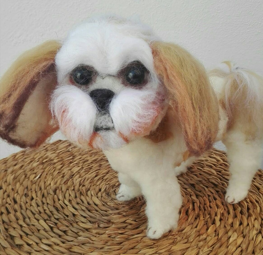 羊毛フェルト inuinu Amazon.com: Hamanaka made of felt wool kit fluffy wool, felt dog