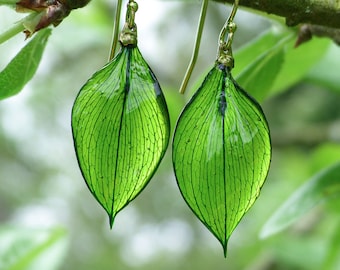 Boucles d'oreilles vraies feuilles vertes, boucles d'oreilles pendantes en or 14 carats / argent sterling 925, vraies feuilles en résine, boucles d'oreilles vertes pendantes, boucles d'oreilles pendantes