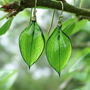 Boucles d'oreilles vraies feuilles vertes, boucles d'oreilles pendantes en or 14 carats / argent sterling 925, vraies feuilles en résine, boucles d'oreilles vertes pendantes, boucles d'oreilles pendantes image 1