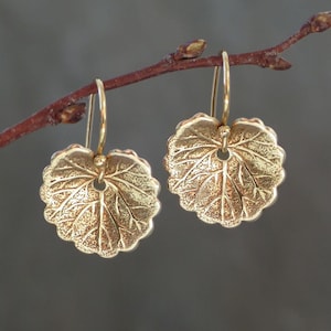 May include: A pair of gold-toned drop earrings shaped like small, round, scalloped leaves with detailed vein textures. Each earring features a central circular cutout and is suspended from a curved wire hook, hanging from a thin, brown twig.